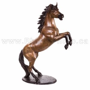 Calgary Product Commercial Photography Home Decor Bronze Philux Photo