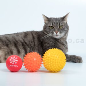 Massage Balls - Philux Photo - Product Photogrpahy - Calgary - Vancouver - Toronto