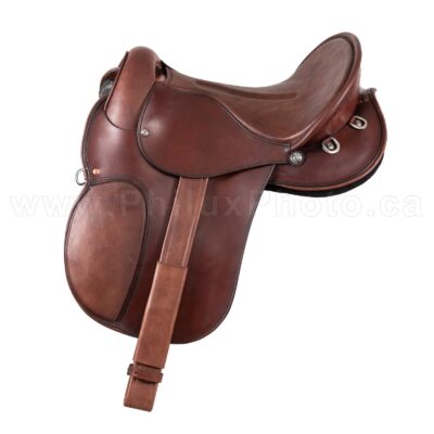 Horse Saddle