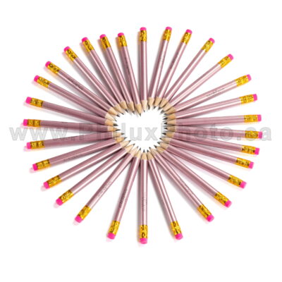 Bridal Shower Party Game