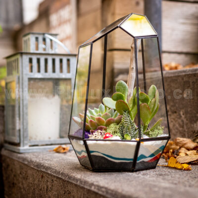 Glass Terrarium