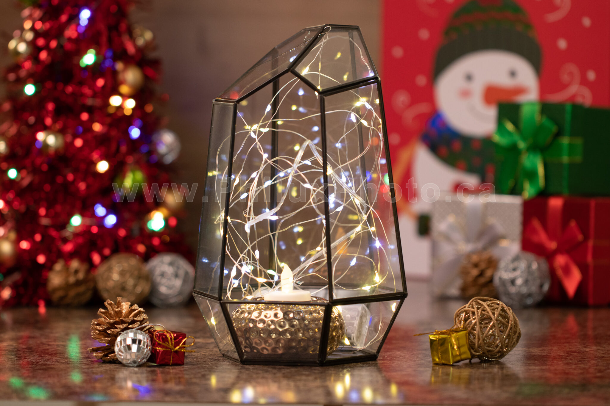 philux photo glass terrarium xmas christmas heart calgary vancouver toronto