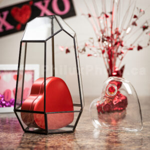 philux photo glass terrarium valentines heart calgary vancouver toronto