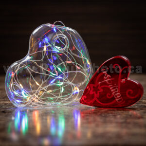philux photo glass terrarium valentines heart calgary vancouver toronto
