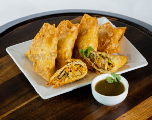 Philux Photo Product Photography Food Samosa Chicken Turkey Beef Donair Chapati